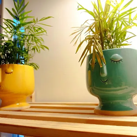 La Casa Di Zaga Appartement
